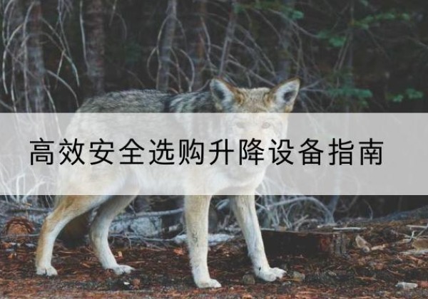 武昌升降货梯厂家推荐-*安全选购升降设备指南