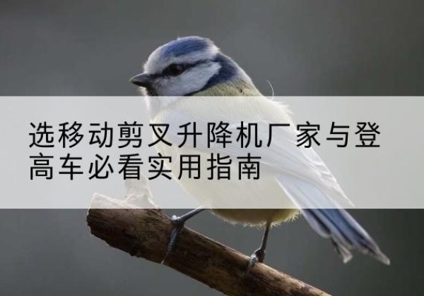 武昌电动升降机厂家-选移动剪叉升降机厂家与登高车必看实用指南